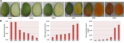 Dynamic Analyses of Transcriptome and Metabolic Profiling: Revealing Molecular Insight of Aroma Synthesis of Mango (Mangifera indica L. Var. Tainong)